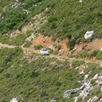 balazsh 2011